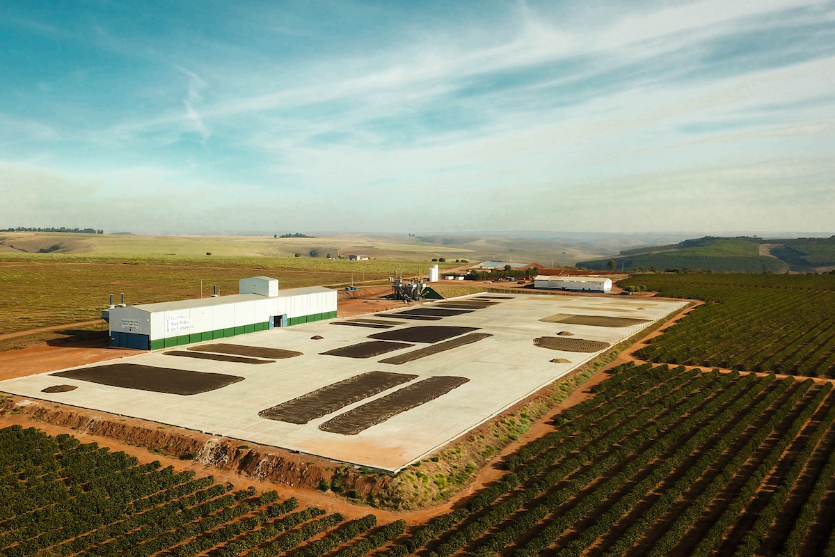 Brazil Canastra Farm