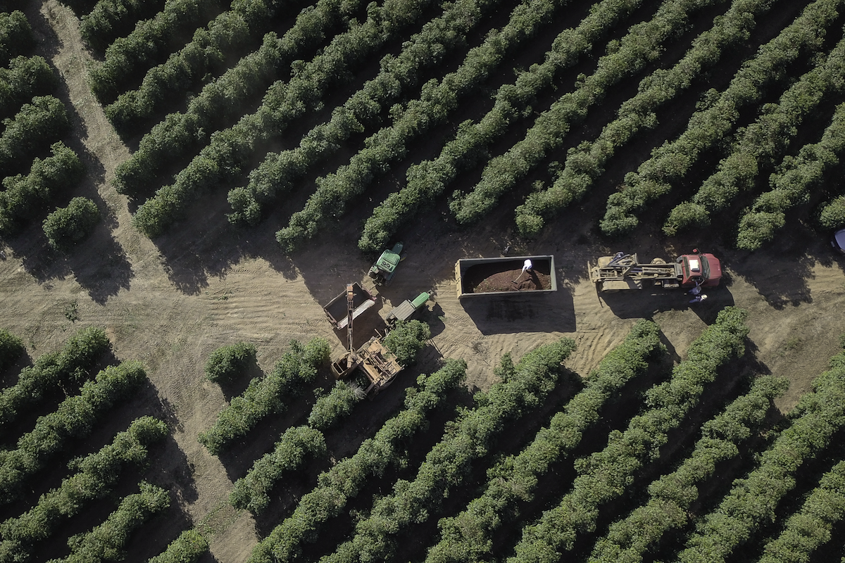 Brazil Espigão Farm