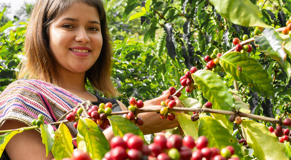 Ecuador APECAP Fair Trade Organic