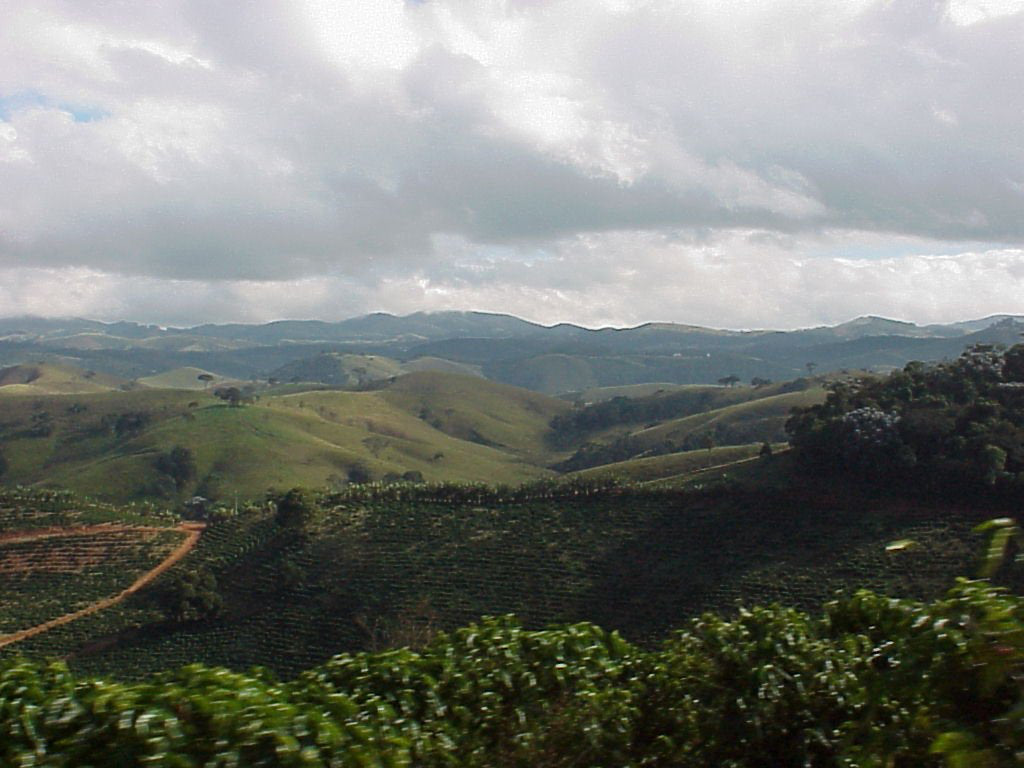 Ethiopia Guji Arsosala