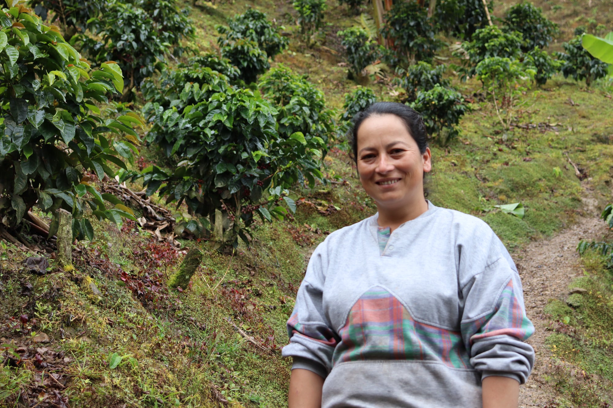 Colombia El Oasis