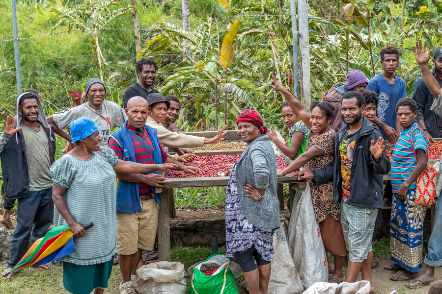 Papua New Guinea Riverside Mill