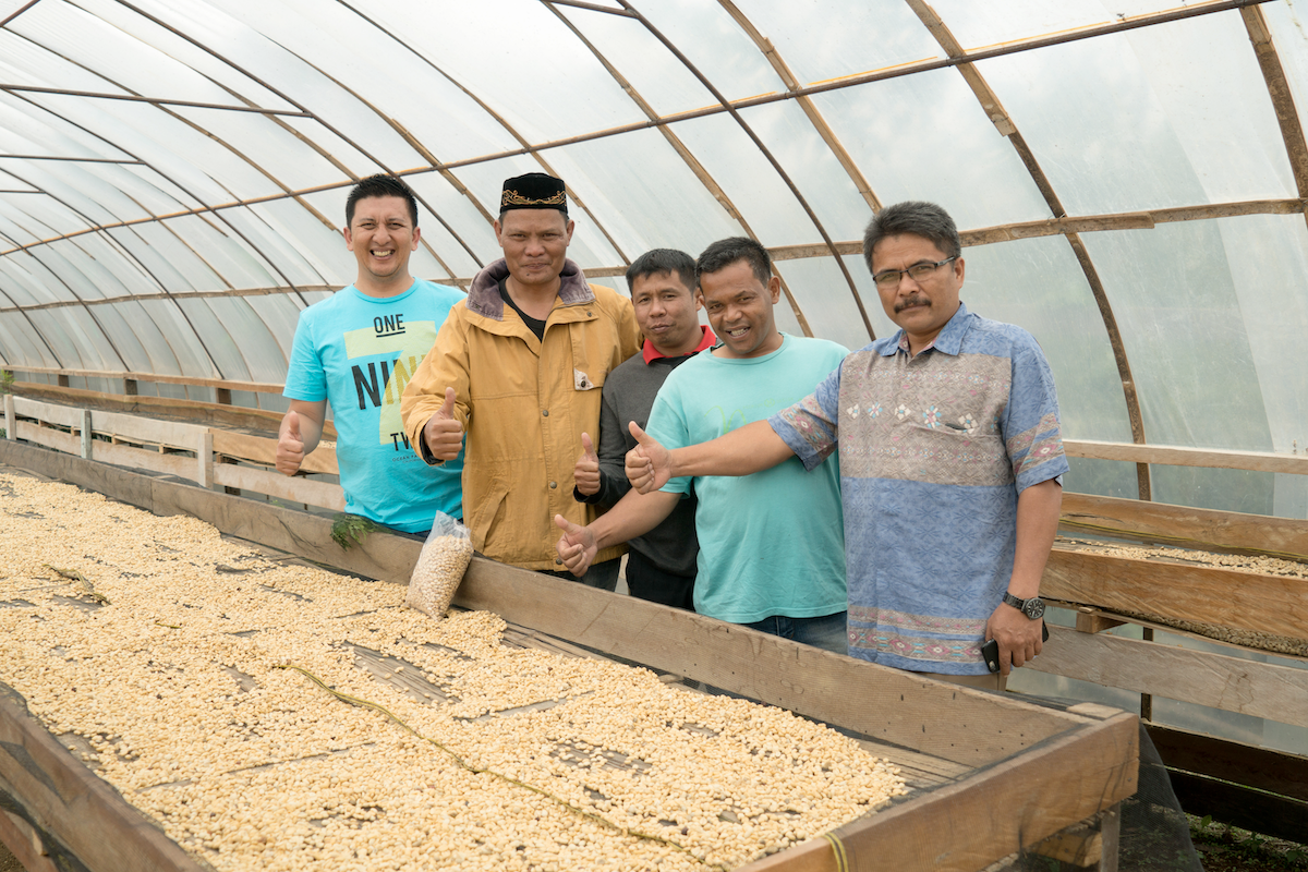 Sumatra Asman Gayo Mill