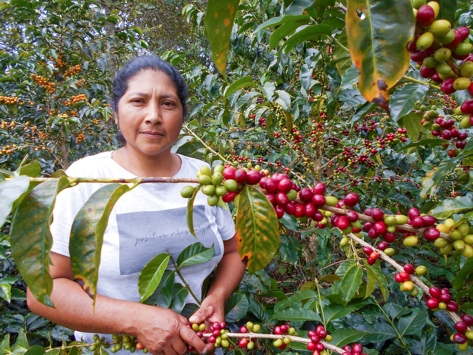 Colombia Maria Cenaida Flor