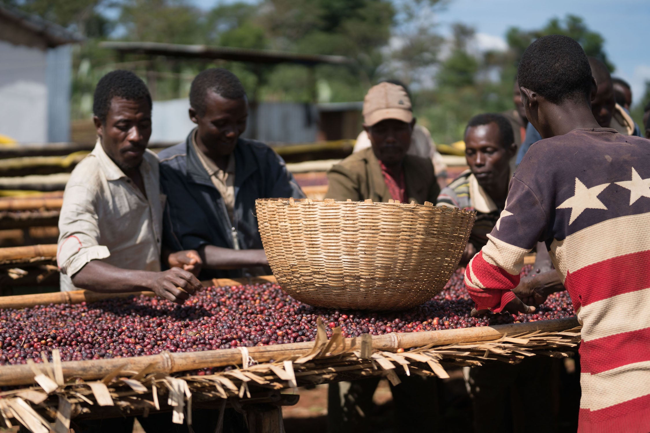 Ethiopia Yirgacheffe Worka