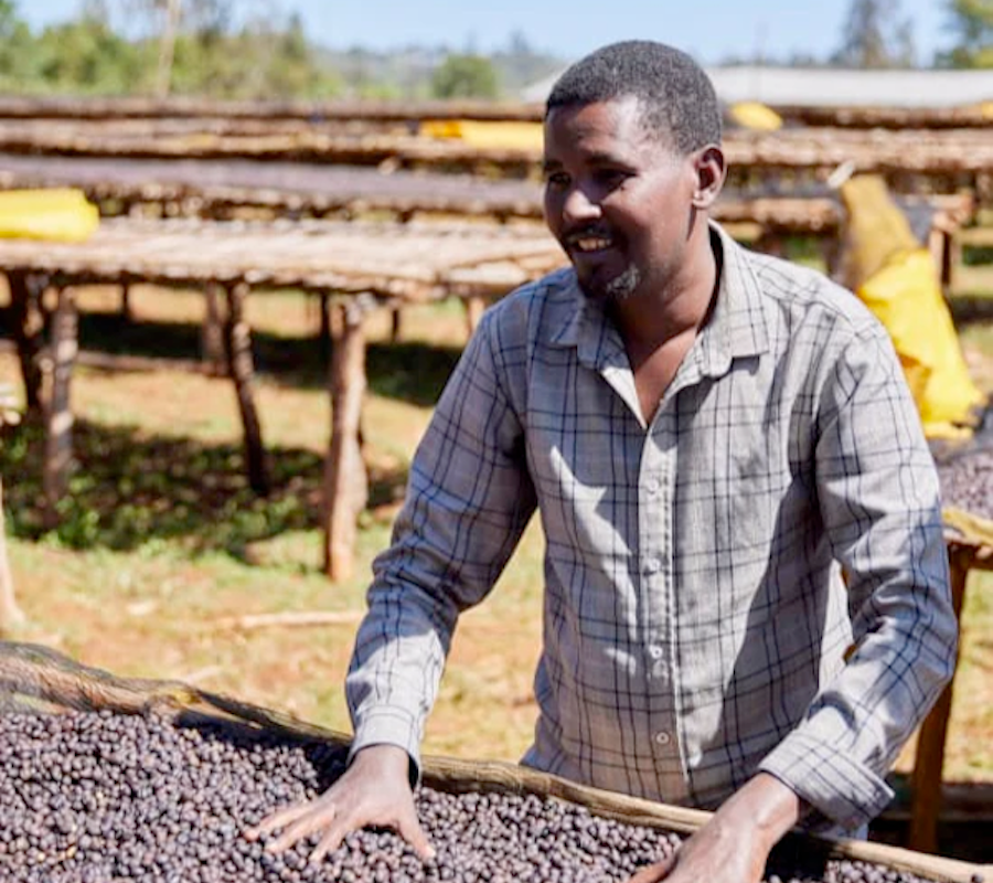 The Town Roaster Coffee of the Month coffee beans from Ethiopia