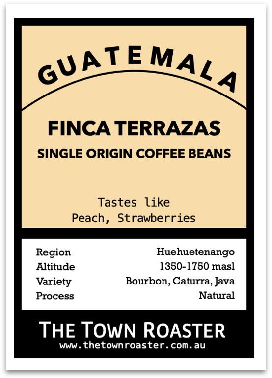 The Town Roaster Guatemala Finca Terrazas Natural Processed coffee beans