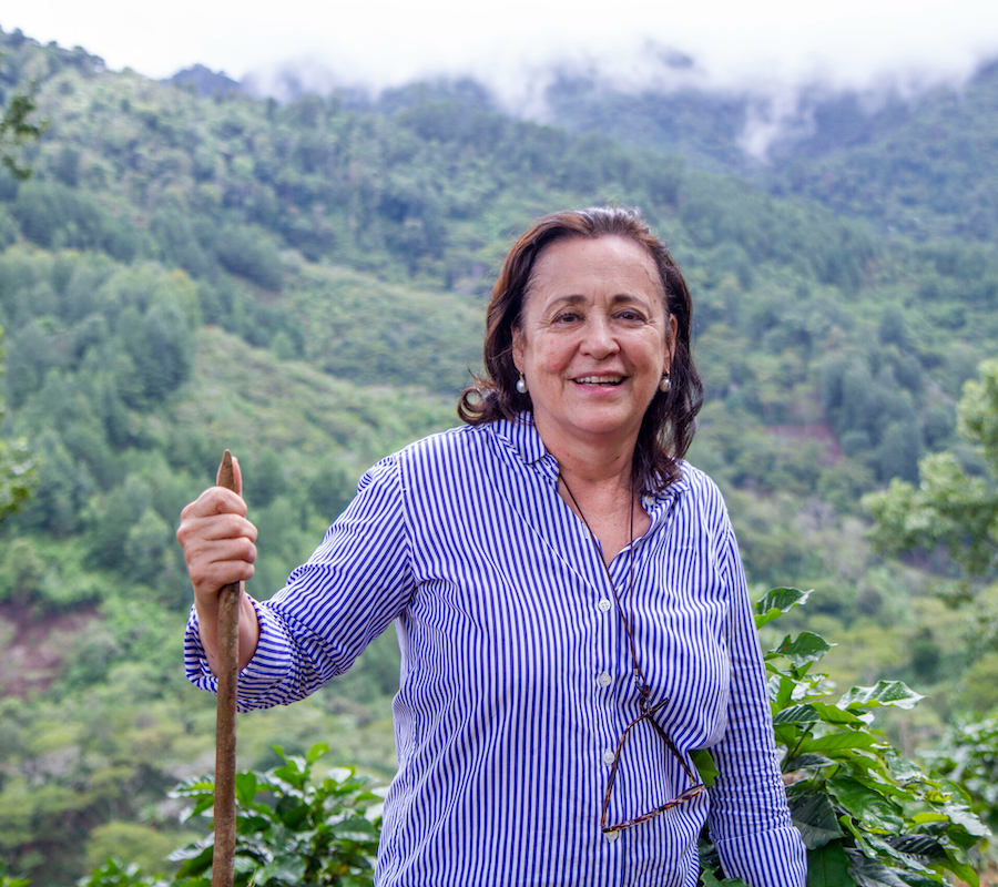 The Town Roaster Single Origin Nicaragua Finca Las Hortencias coffee beans