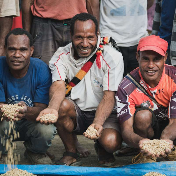 The Town Roaster Single Origin coffee beans from PNG Kindeng Mill