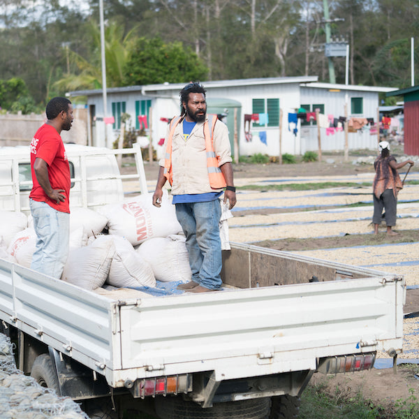 The Town Roaster Single Origin coffee beans from PNG Kindeng Mill