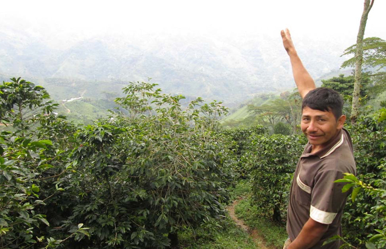 Colombia El Indio coffee farmer