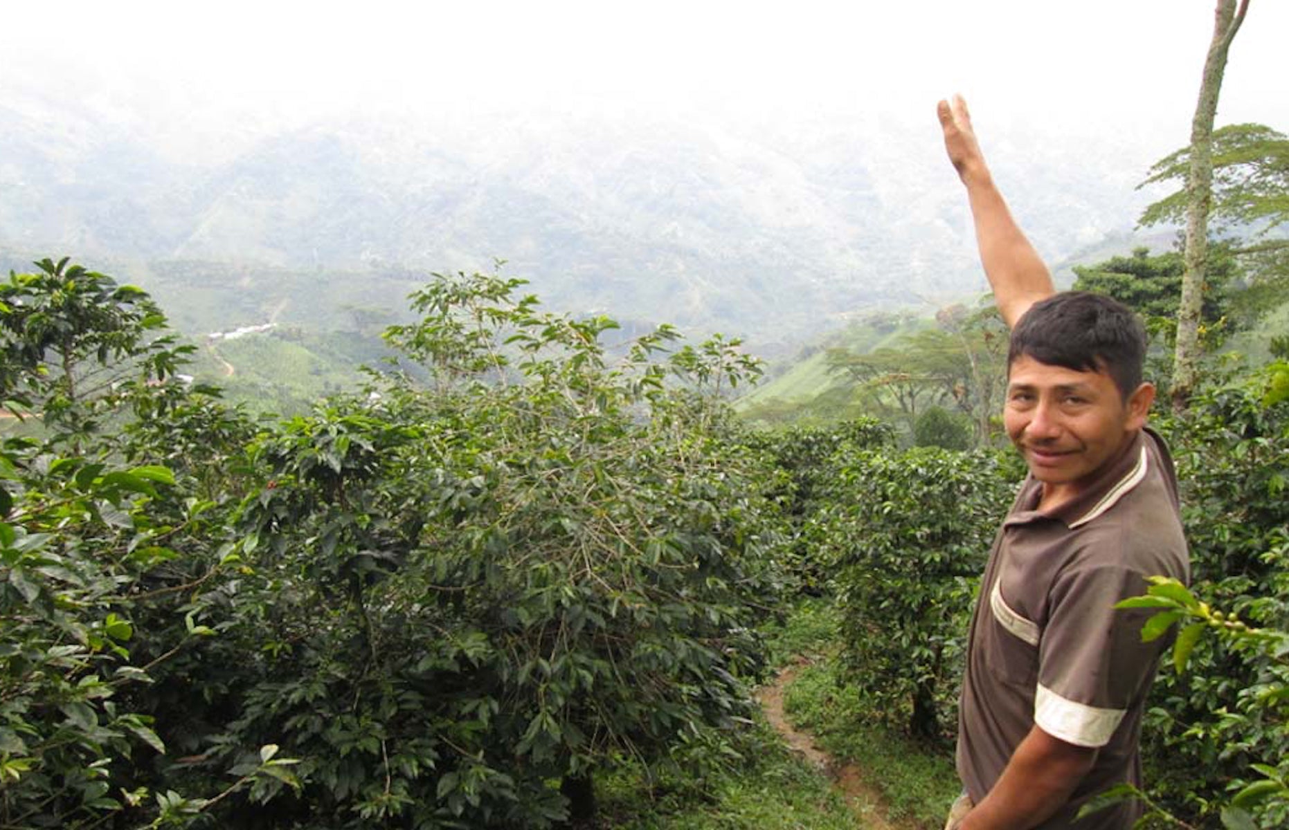 Colombia El Indio coffee farmer