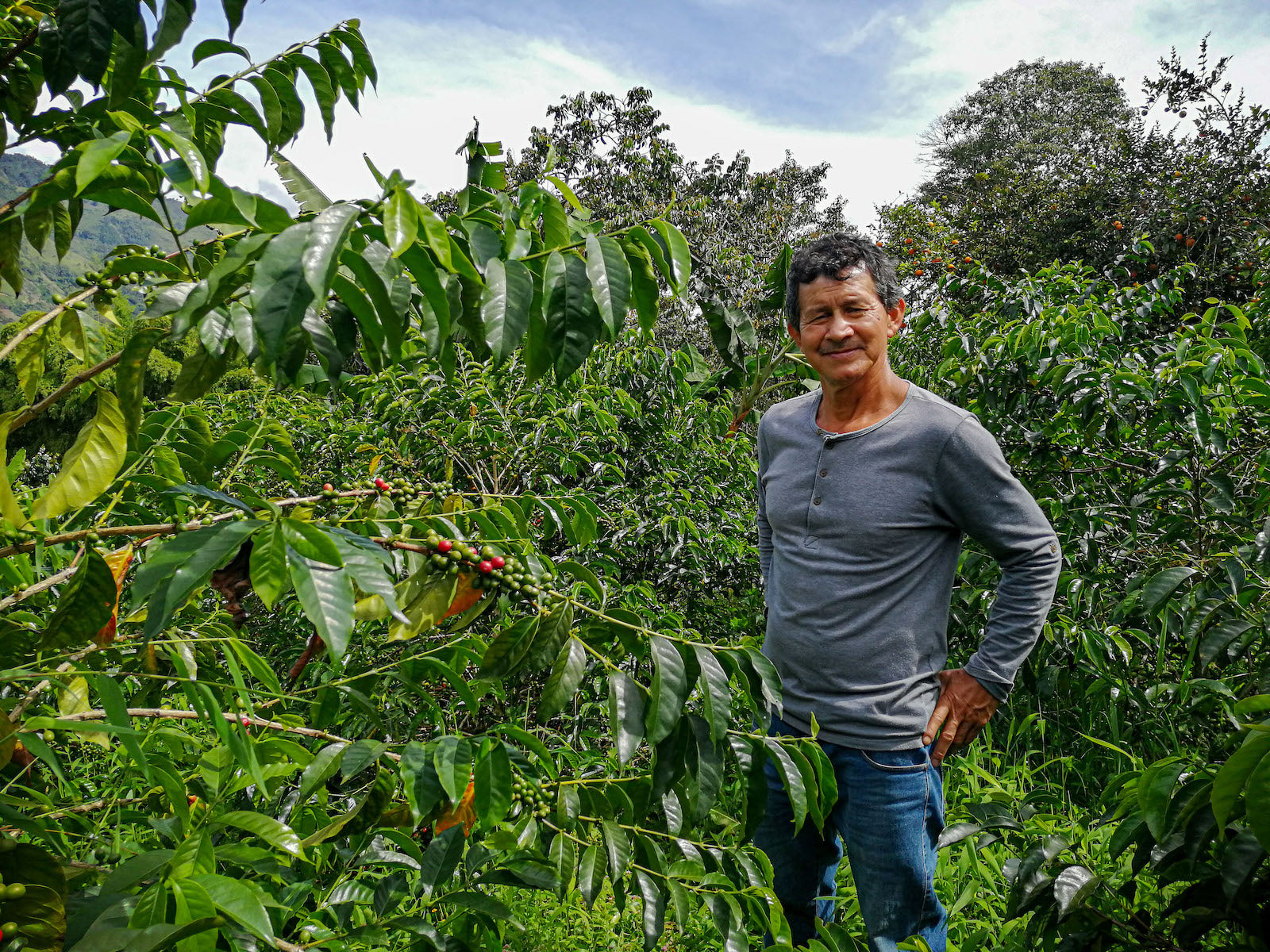 Coffee farm Costa Rica Finca La Estrella