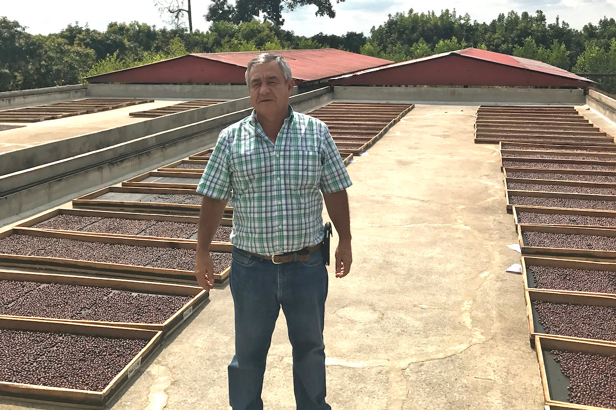Single Origin Colombia Santa Monica coffee beans by Jairo Arcila