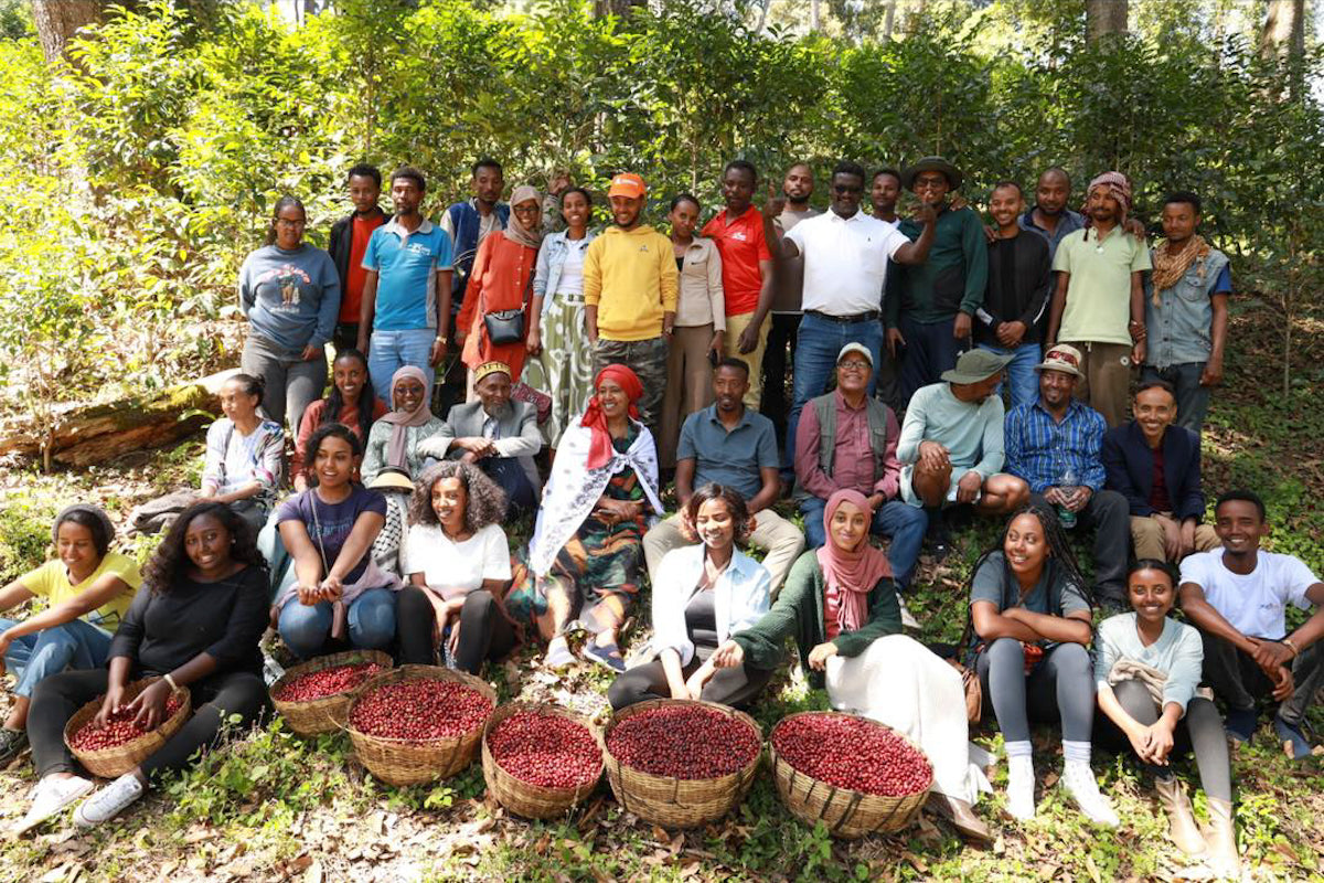 The workers of Kayon Mountain Coffee Farm in Ethiopia