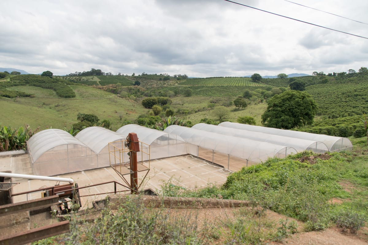 Brazil Fazenda Rio Pardo