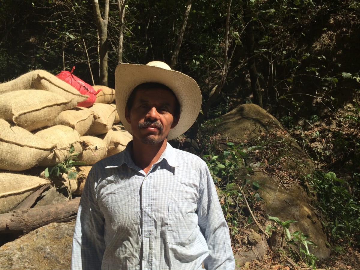 El Salvador Finca Las Quebradas