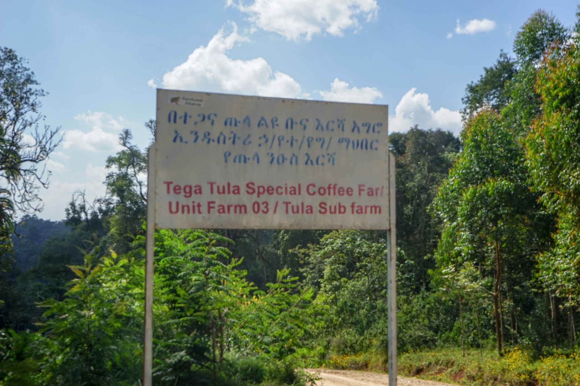 Ethiopia Tega & Tula Estate