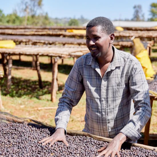 Ethiopia Single Farmer Arsosala Coffee from The Town Roaster