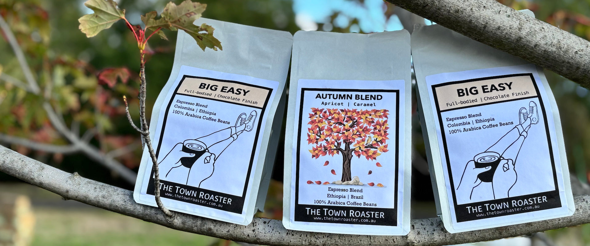 The Town Roaster espresso blend subscription coffee beans