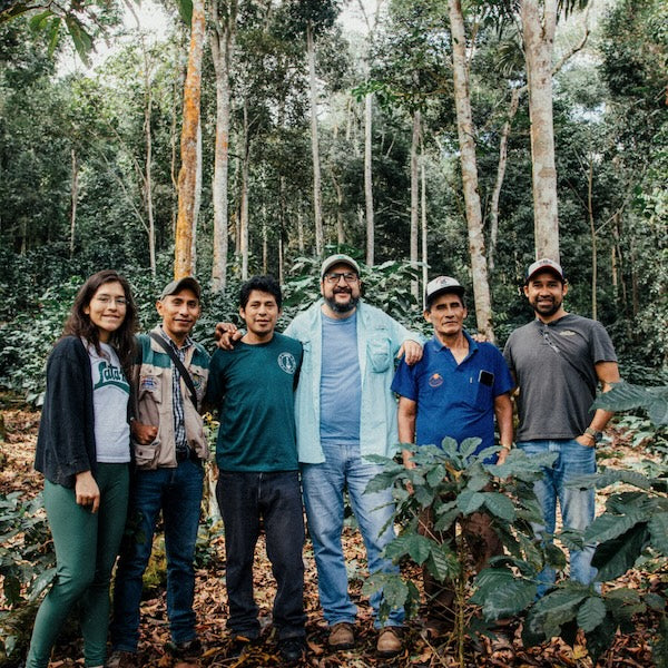 Bolivia APCERL coffee growers