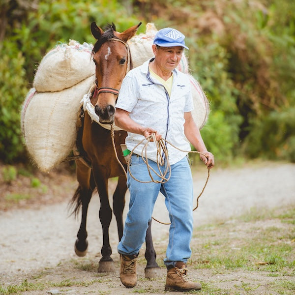 Coffee producers at Manos Juntas Colombia