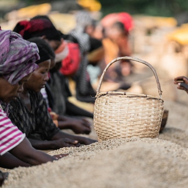 The Town Roaster Ethiopia Yirgacheffe Chelchele Single Origin coffee beans