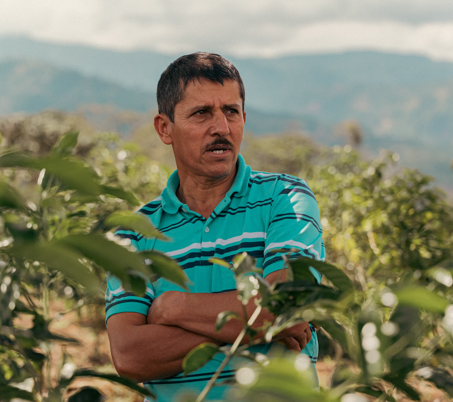 The Town Roaster Single Origin Colombia Finca Villa Betulia Gesha coffee beans