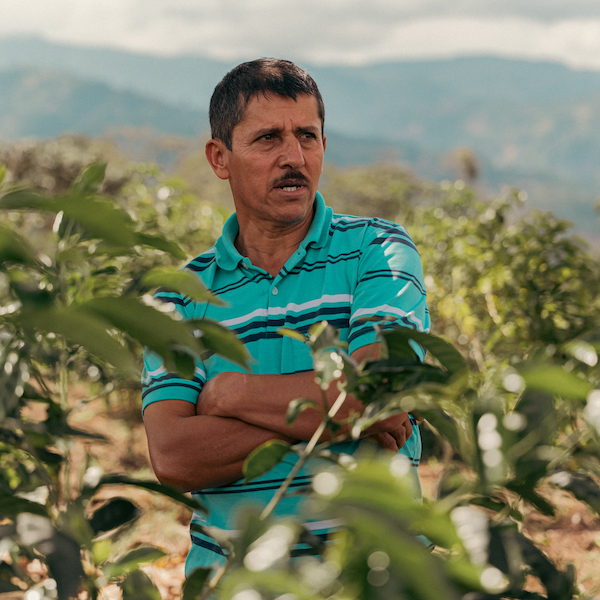 Colombia Finca Villa Betulia Gesha Filter Roast Coffee from The Town Roaster