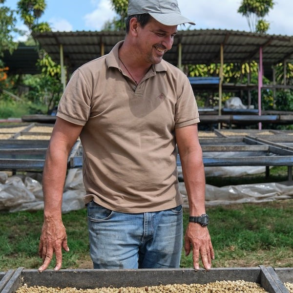 The Town Roaster Single Origin Costa Rica coffee