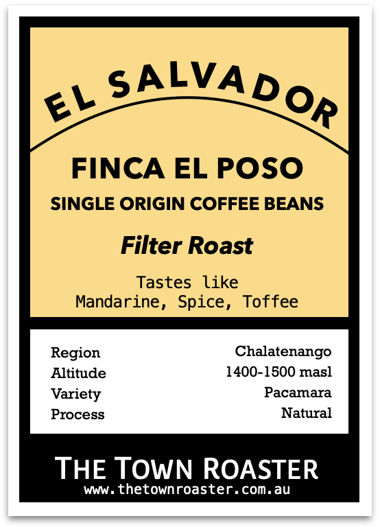The Town Roaster Single Origin El Salvador Filter roast coffee beans