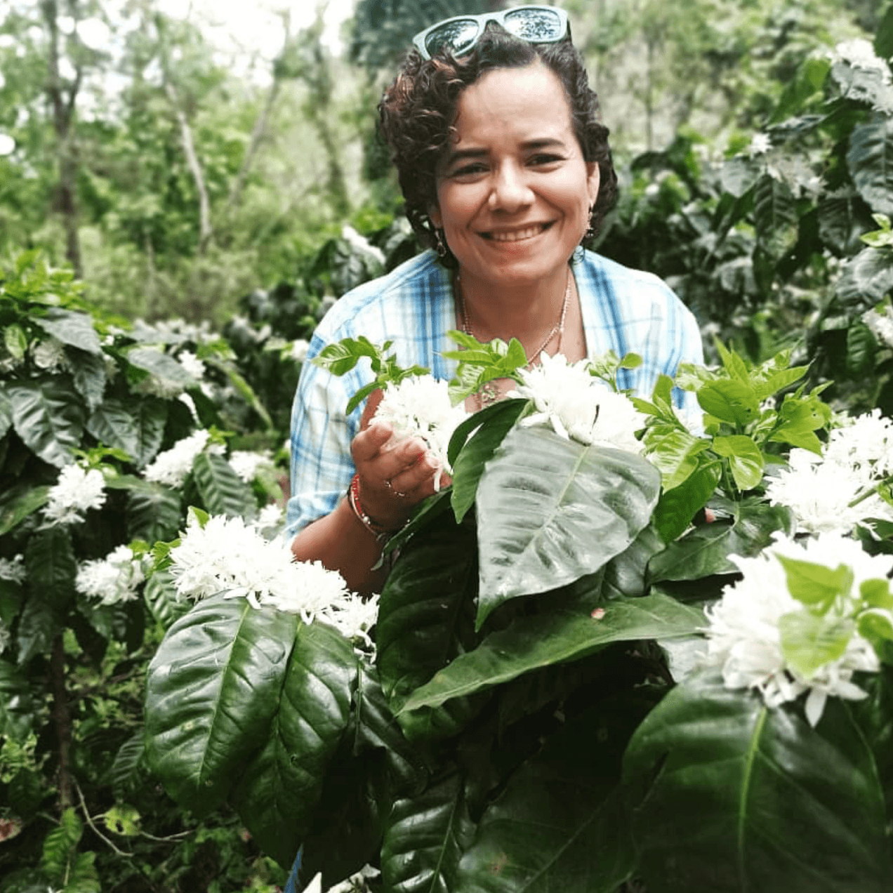 Owner of El Salvador Finca Talquesalar 