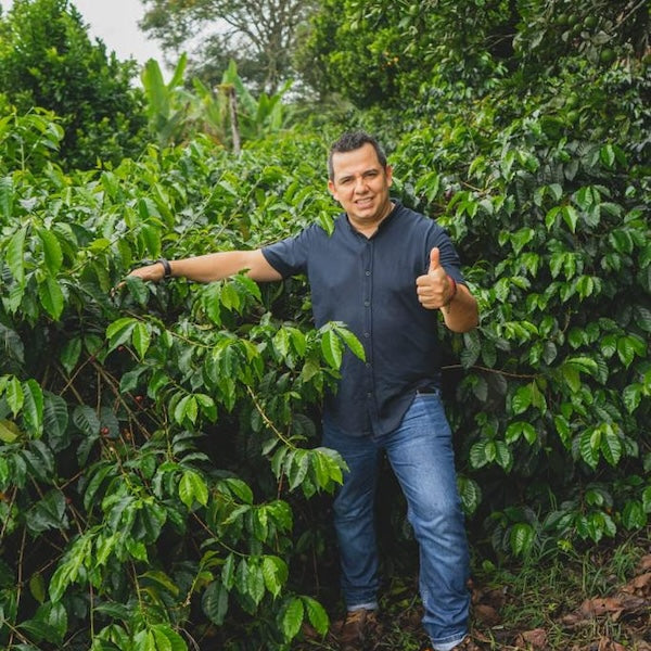 The Town Roaster Single Origin coffee beans from Colombia