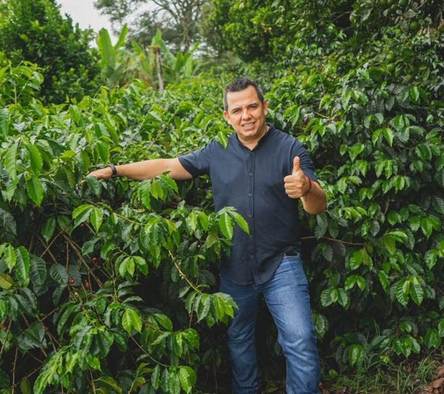 Colombia Finca El Mirador Coffee of the Month