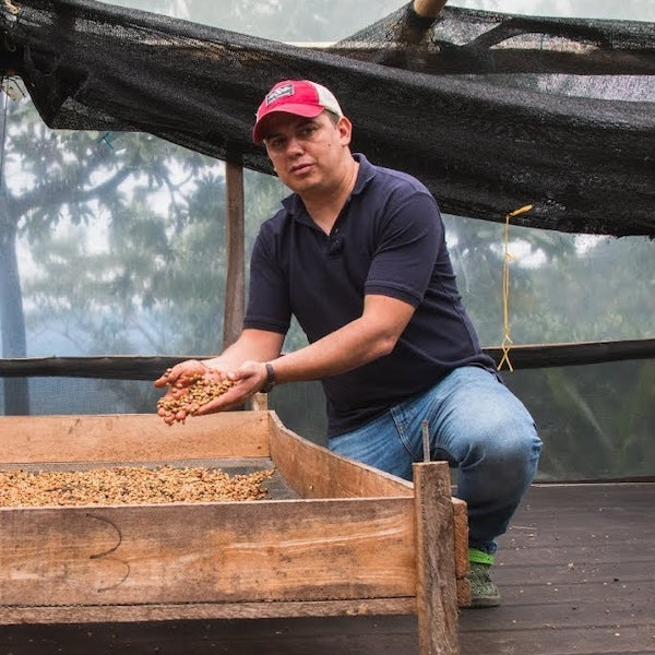 Colombia Finca El Mirador Coffee from The Town Roaster