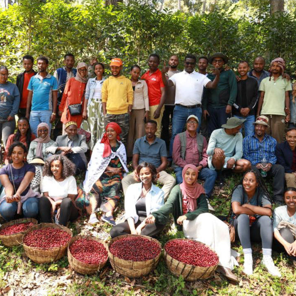 Ethiopia Kayon Mountain Farm coffee beans