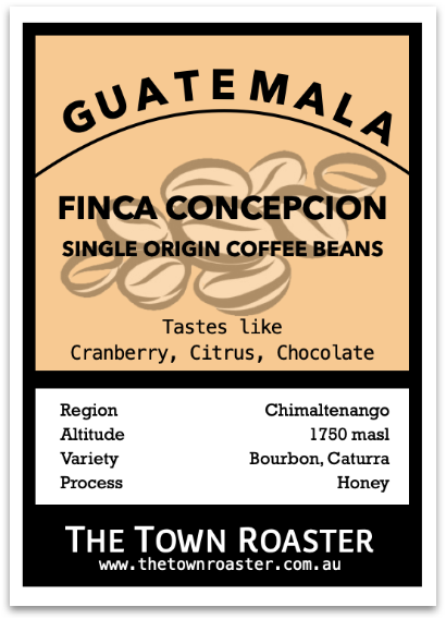 Single Origin Guatemala Finca Concepcion Coffee from The Town Roaster