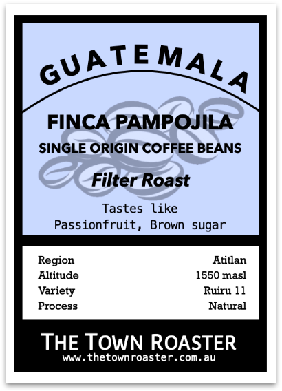 Guatemala Finca Pampojilá Filter Roast Coffee from The Town Roaster