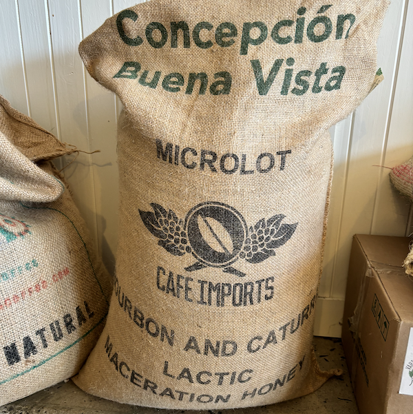 Guatemala Finca Concepcion coffee beans at The Town Roaster