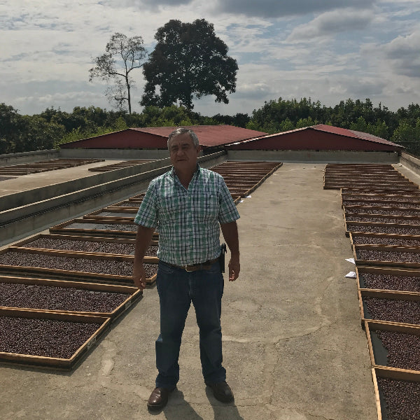 Colombia Santa Monica coffee farm owned by Jairo Arcila