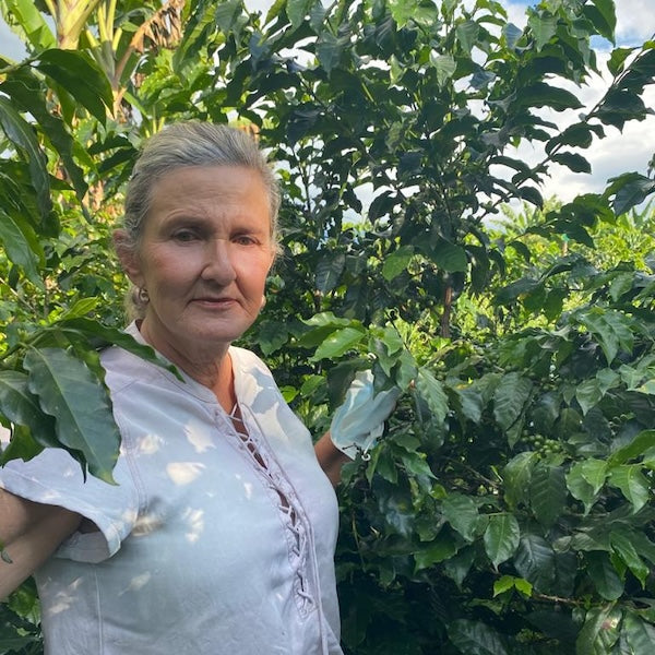 Colombia Finca Maracay Coffee from The Town Roaster