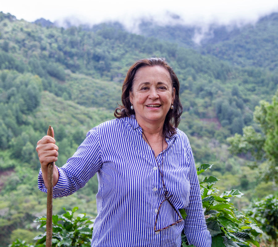 The Town Roaster Coffee of the Month filter roast coffee beans from Nicaragua