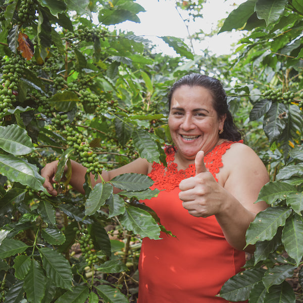 Nicaragua Tierra Madre women's coffee producers