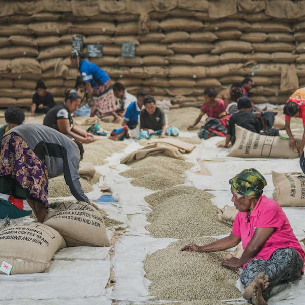 The Town Roaster Single Origin coffee beans from PNG Kindeng Mill