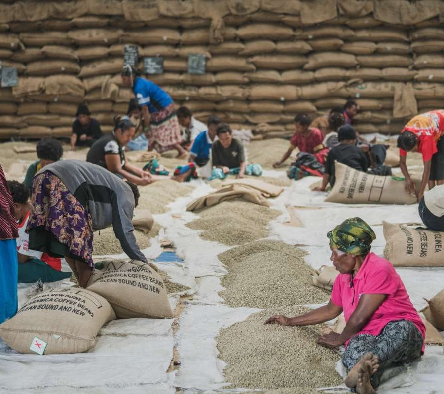 The Town Roaster Coffee of the Month from PNG Kindeng Mill