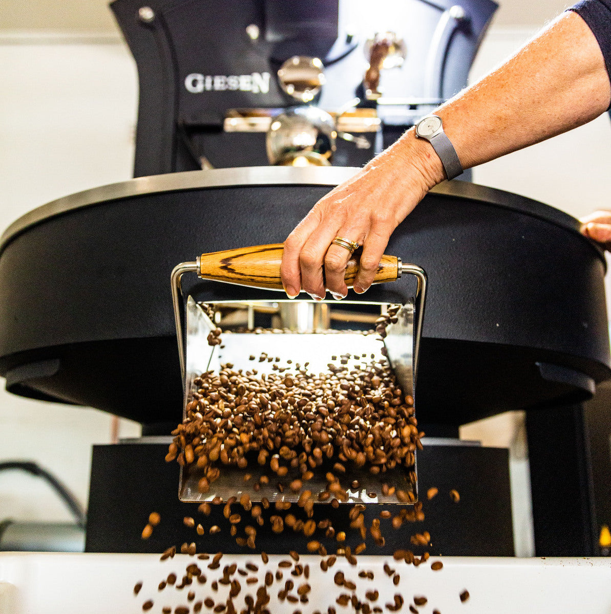 Dropping beans from the Giesen cooling tray at The Town Roaster