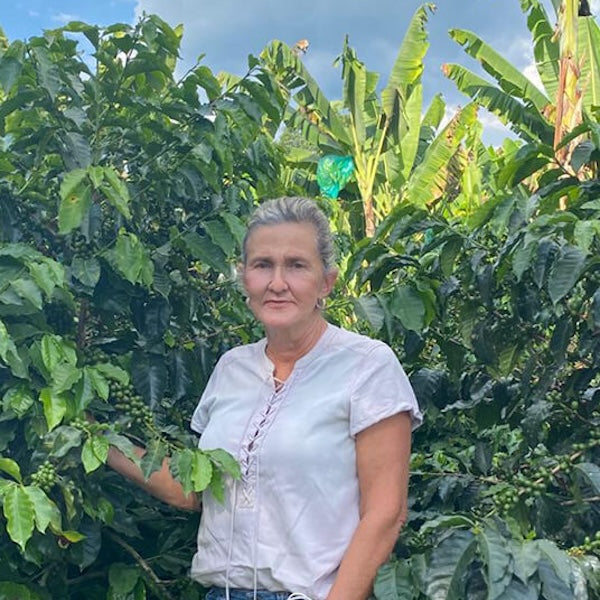 Colombia Finca Maracay Coffee from The Town Roaster